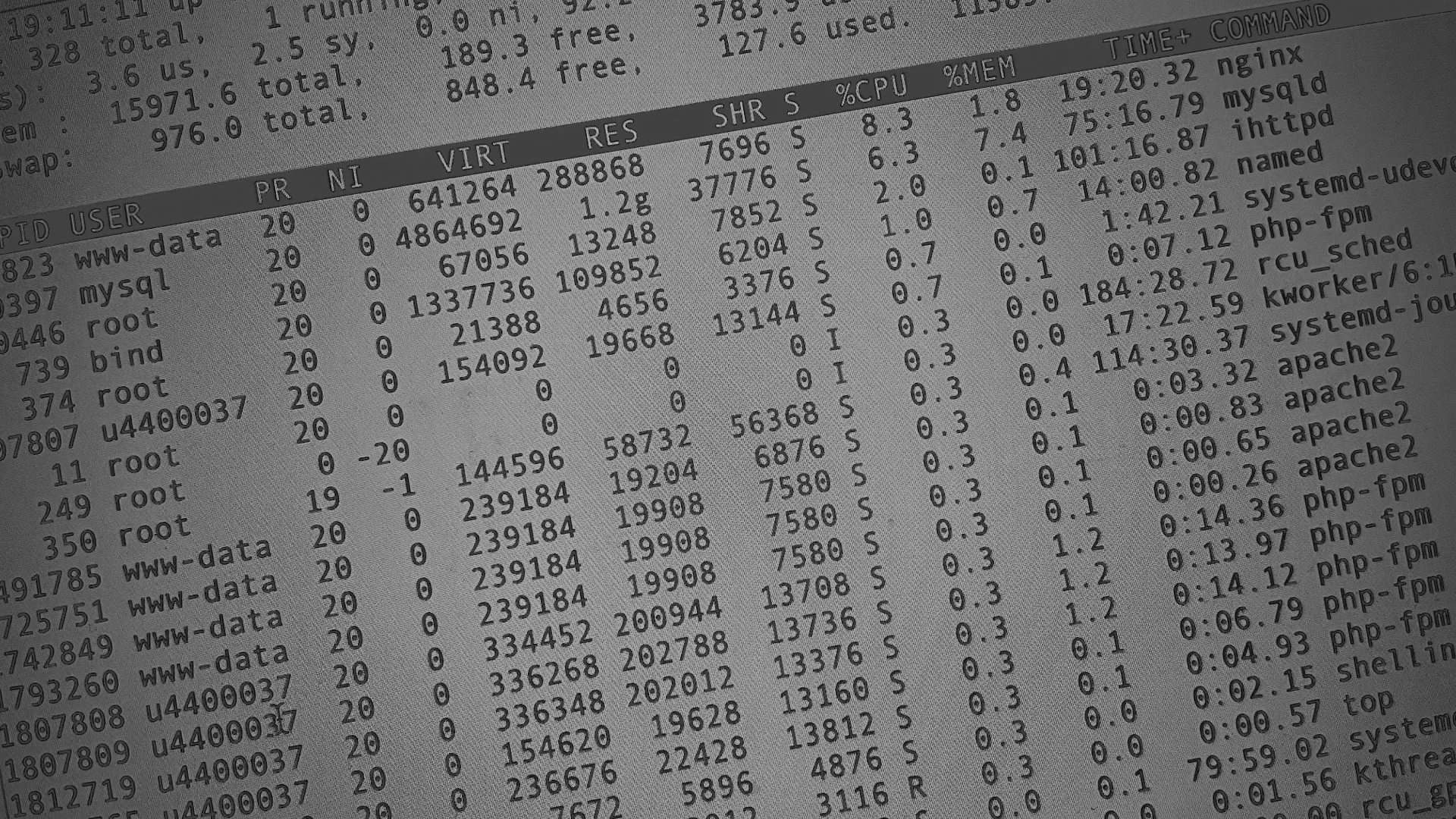 Настройка сервера в Ардатове Настройка сервера в Ардатове